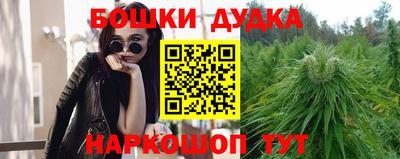 spice Гусиноозёрск