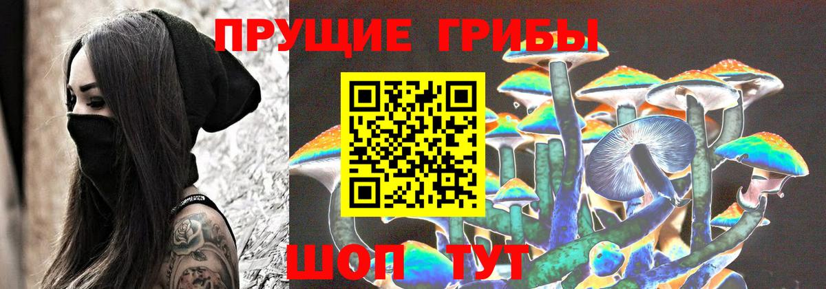 цена   Псилоцибиновые грибы Cubensis  Вход с VPN  Лесосибирск 